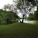 สมาชิกหมายเลข 3154916