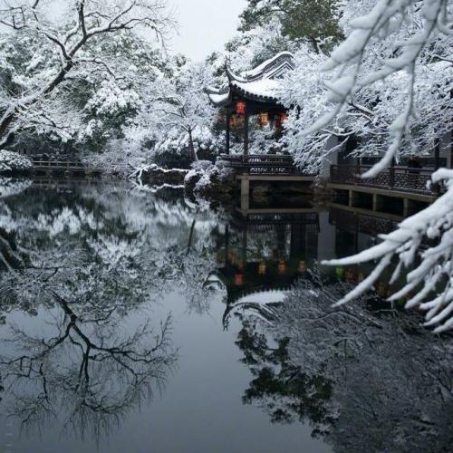 สมาชิกหมายเลข 1315768