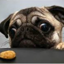 สมาชิกหมายเลข 4552559