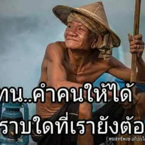 สมาชิกหมายเลข 4558551