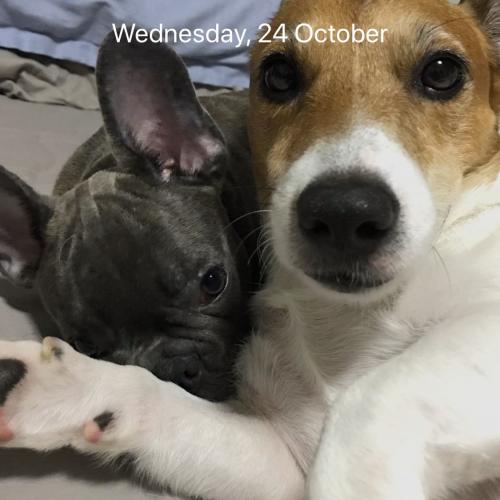 สมาชิกหมายเลข 1194724