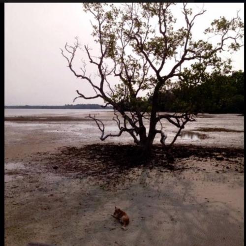 สมาชิกหมายเลข 3886941