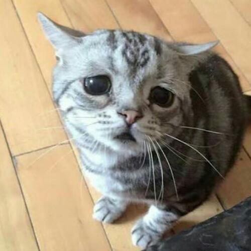 สมาชิกหมายเลข 4899884