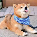 สมาชิกหมายเลข 5296340