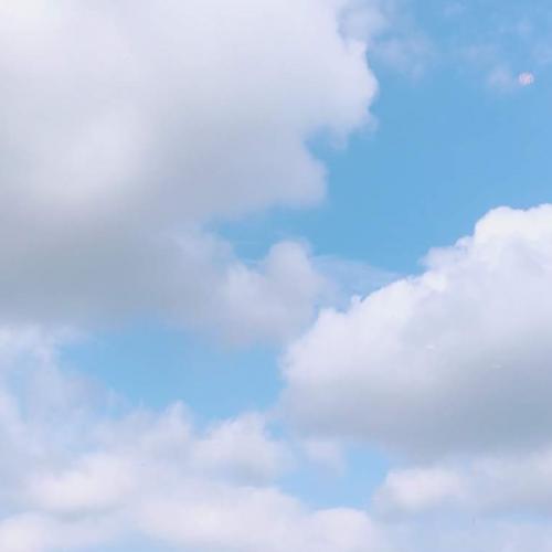 ปลาเค้ก