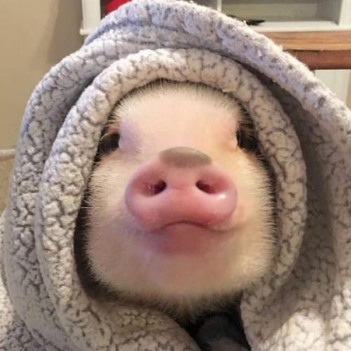 สมาชิกหมายเลข 3569822