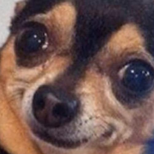 สมาชิกหมายเลข 4141797