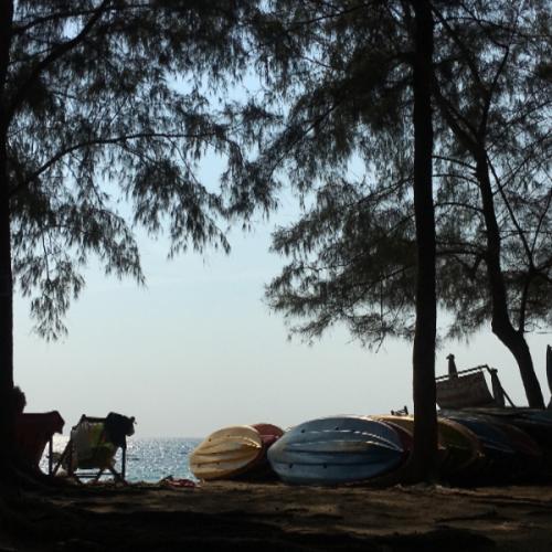 สมาชิกหมายเลข 5229999