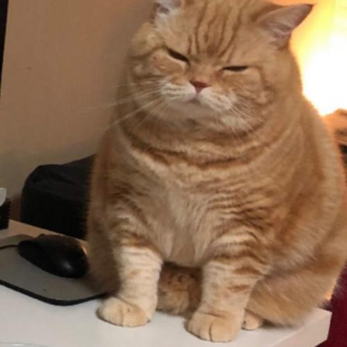 สมาชิกหมายเลข 5834733