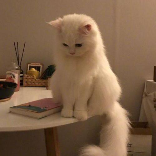 สมาชิกหมายเลข 6339571