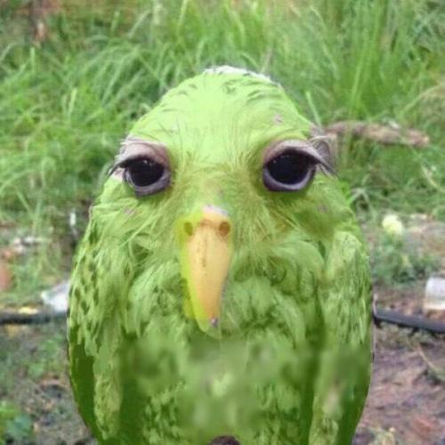 สมาชิกหมายเลข 5805475