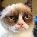 สมาชิกหมายเลข 3431152