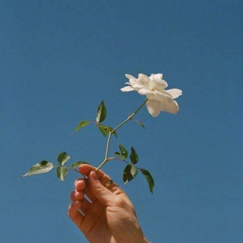 สมาชิกหมายเลข 1552513