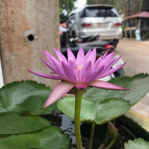 สมาชิกหมายเลข 4900255