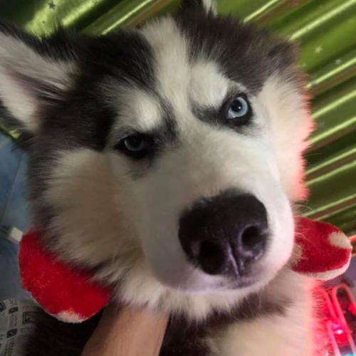 สมาชิกหมายเลข 5296691