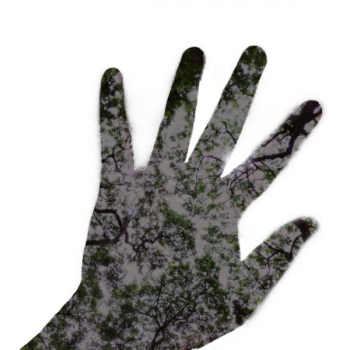 จุดไฟเผาฝน