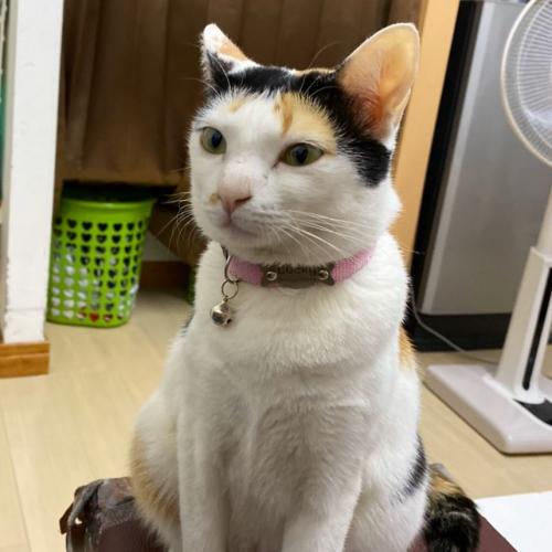 สมาชิกหมายเลข 1703521