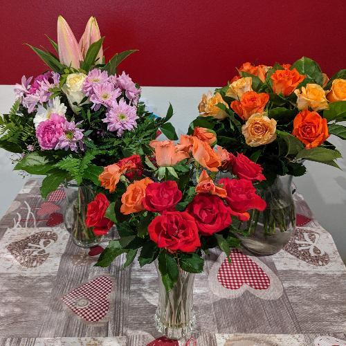 สมาชิกหมายเลข 1856361