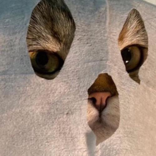 สมาชิกหมายเลข 2519143