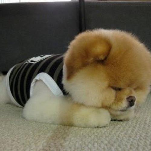 สมาชิกหมายเลข 3813877