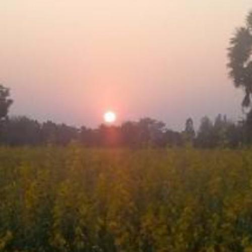 พยายามถึงสำเร็จ