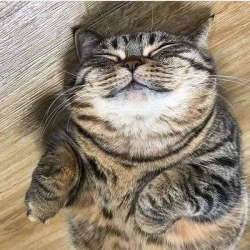 สมาชิกหมายเลข 6340328