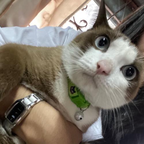 สมาชิกหมายเลข 7022444