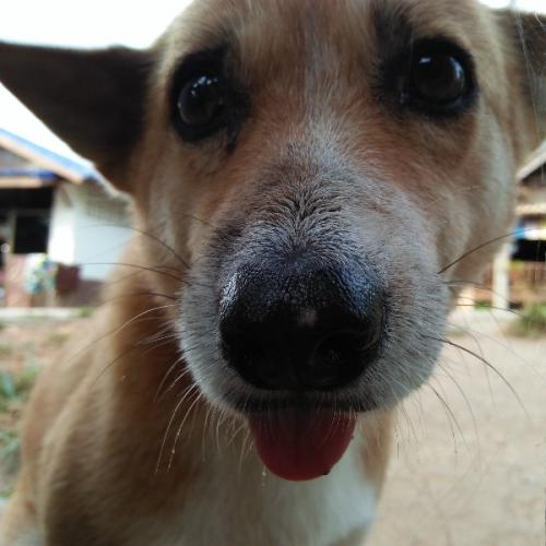 สมาชิกหมายเลข 7791582