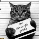 สมาชิกหมายเลข 3076667