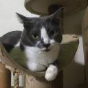 สมาชิกหมายเลข 4121892