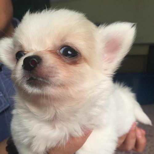 สมาชิกหมายเลข 4138593