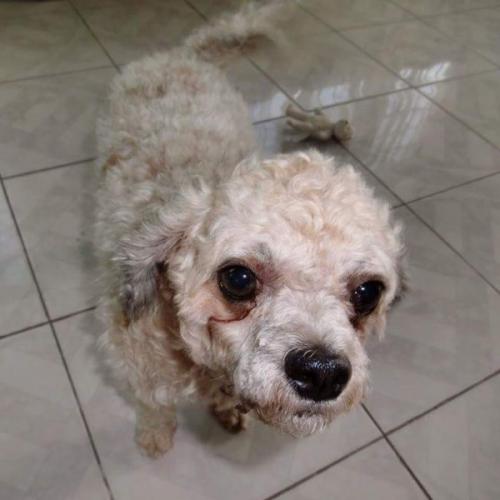 สมาชิกหมายเลข 2532396