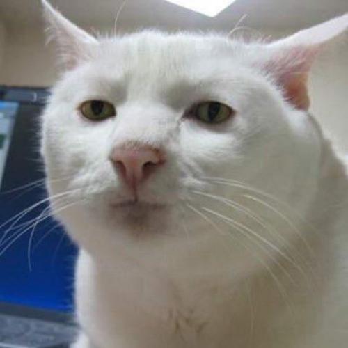 สมาชิกหมายเลข 4826114