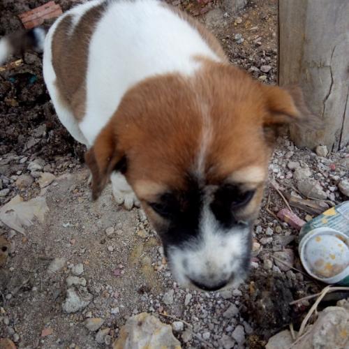 สมาชิกหมายเลข 3696308