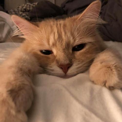 สมาชิกหมายเลข 5750943