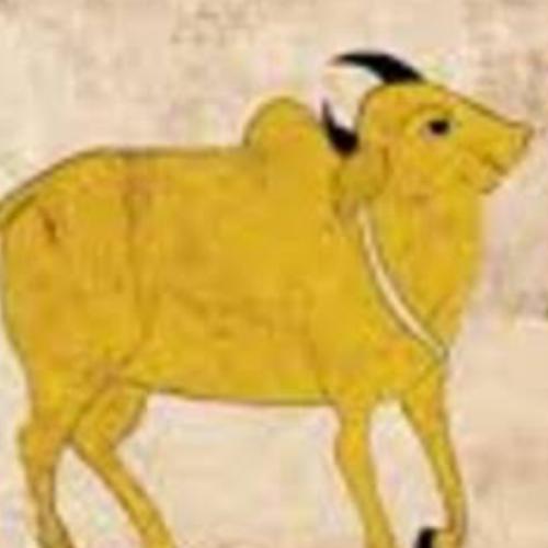 สมาชิกหมายเลข 954862