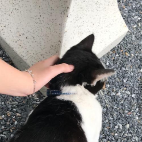 สมาชิกหมายเลข 7024340