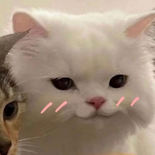 สมาชิกหมายเลข 6601068