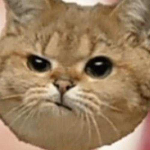 สมาชิกหมายเลข 7790212