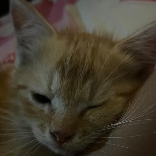 สมาชิกหมายเลข 8757468