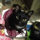 สมาชิกหมายเลข 2313953