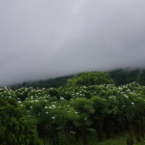 สมาชิกหมายเลข 802377