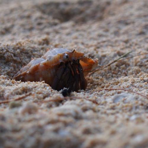 สมาชิกหมายเลข 3211897