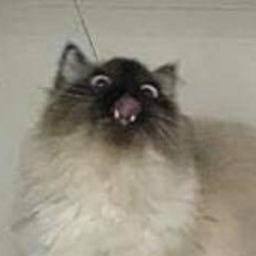 สมาชิกหมายเลข 4626739