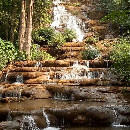 สมาชิกหมายเลข 3237200