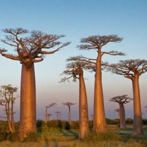 สมาชิกหมายเลข 4077418