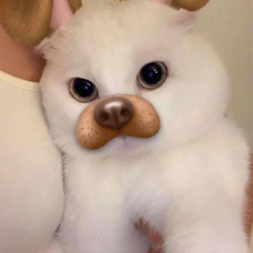 สมาชิกหมายเลข 1828541