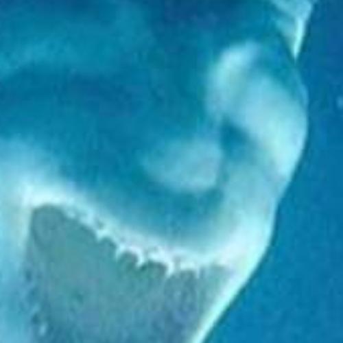 สมาชิกหมายเลข 3570855