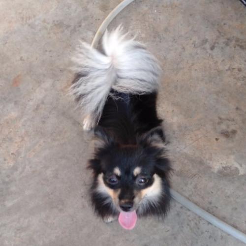 สมาชิกหมายเลข 5751022