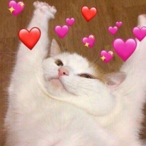 สมาชิกหมายเลข 5614343